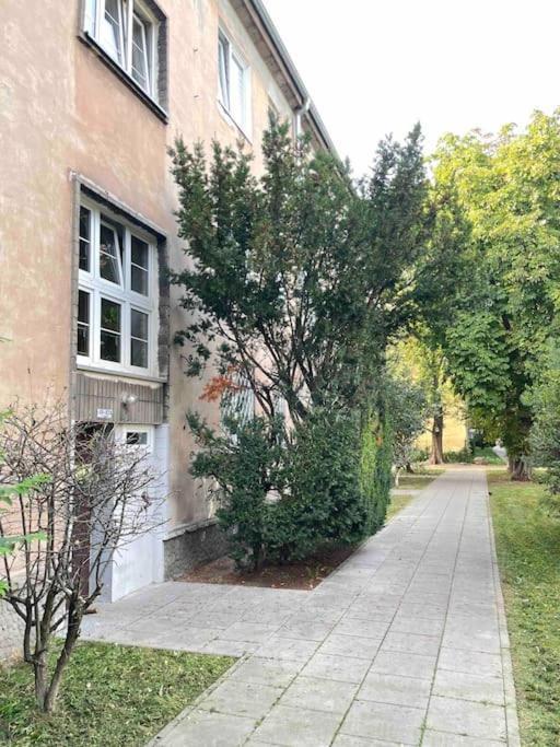 Pajczur - 40m2 * Warsaw
