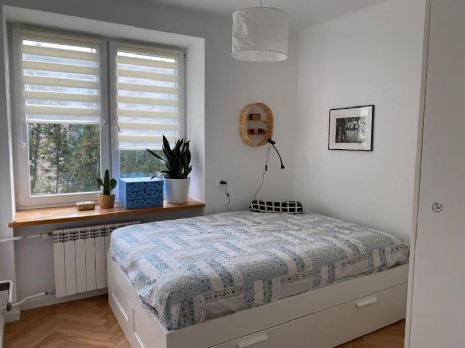 Apartment Pajczur - 40m2